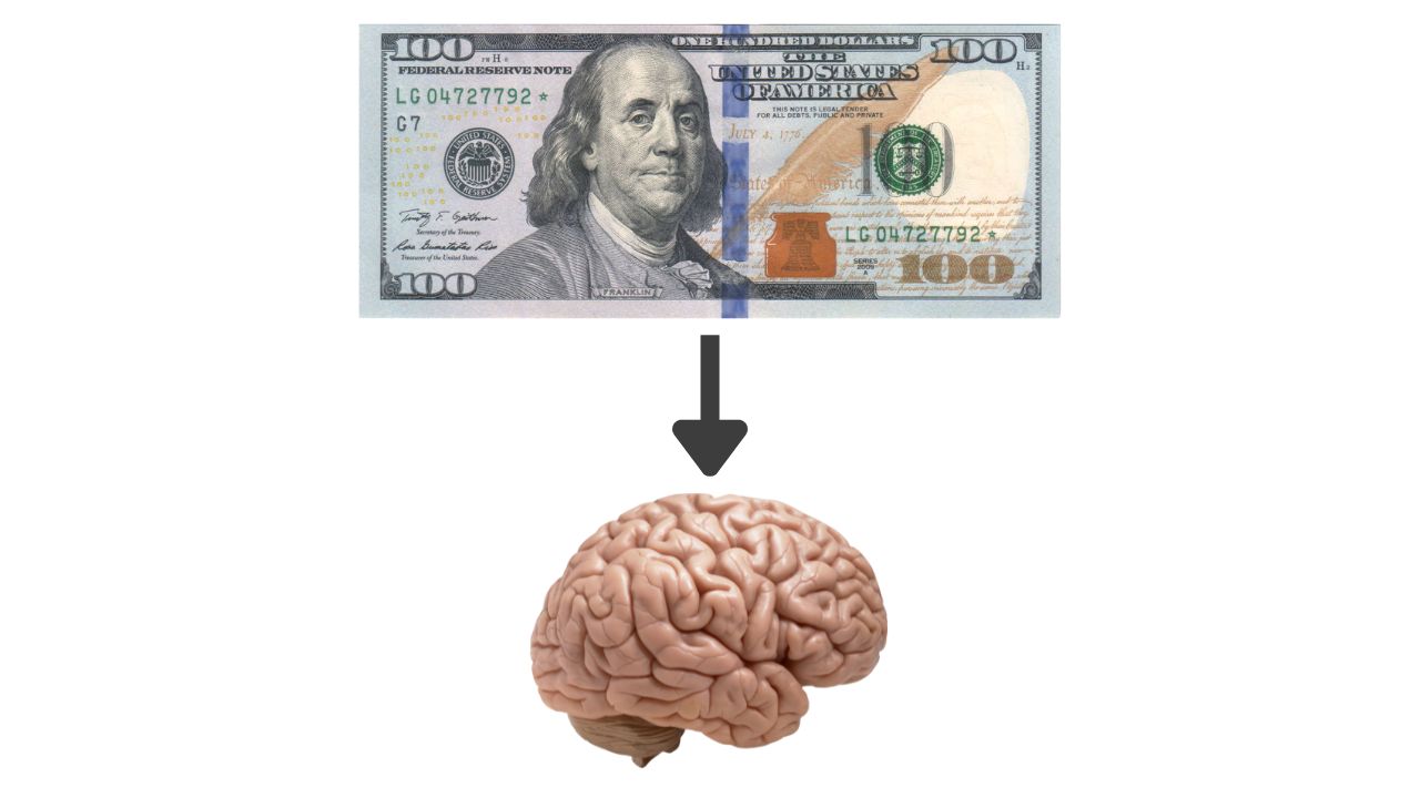 Big budget neuroscience projects