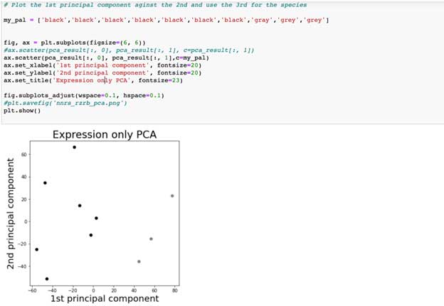 principal component plot